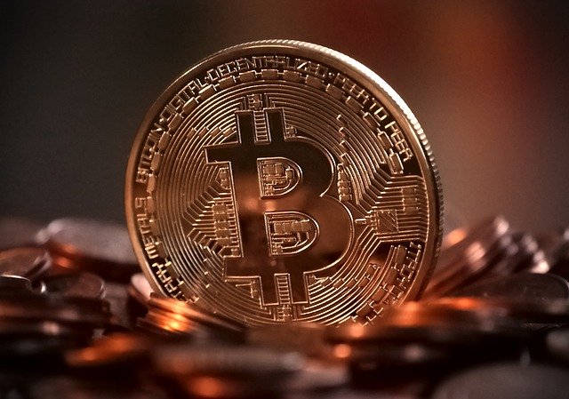 portfele kryptowalut online